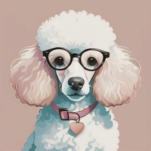 Kl v[h n[g̃y_g sN̎ NbVJo[ 45×45cm Aj}   NbV{̕t ` t@