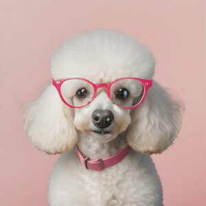 ピンクのメガネ プードル ピンクの首輪 ピンクの背景 クッションカバー 45×45cm アニマル柄 おしゃれ 可愛い クッション本体付き 正方形 犬ファン