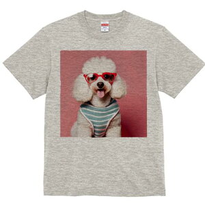 TVc Y LbY t@  t  vg JWA 킢 lԗp tBbglX _X ԂKl v[h XgCv̕ sN̔wi