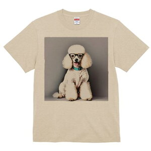 TVc Y LbY t@  t  vg JWA 킢 lԗp tBbglX _X Kl v[h  X^CbV 