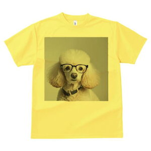 TVc Y LbY t@  t  vg JWA 킢 lԗp tBbglX _X Kl v[h  