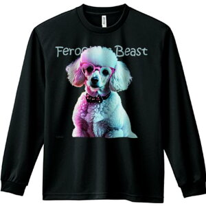 TVc lԗp Y Ht vg W[ AEghA JWA 킢 t@ Kl v[h { Jt