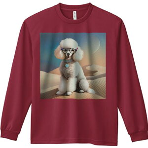 TVc lԗp Y Ht vg W[ AEghA JWA 킢 t@ Kl v[h    