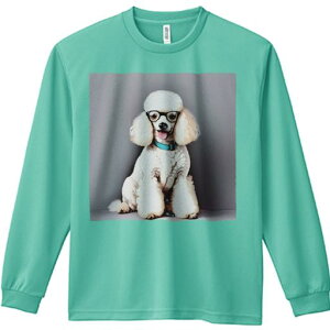 TVc lԗp Y Ht vg W[ AEghA JWA 킢 t@ Kl v[h  X^CbV 