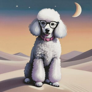  v[h Kl  [Ă NbVJo[ 45×45cm Aj}   NbV{̕t ` t@