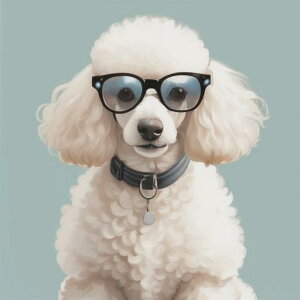 Kl v[h  L[g X^CbV NbVJo[ 45×45cm Aj}   NbV{̕t ` t@