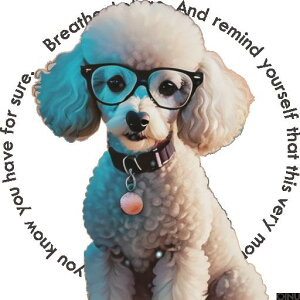 Kl v[h 񂿂  NbVJo[ 45×45cm Aj}  NbV{̕t ` t@