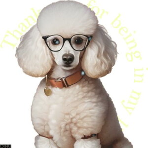 ዾ v[h  n[g p̕ NbVJo[ 45×45cm Aj}   NbV{̕t ` t@