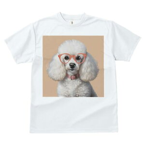 TVc Y LbY t@  t  vg JWA 킢 lԗp tBbglX _X Kl v[h sN̎  t@bV 