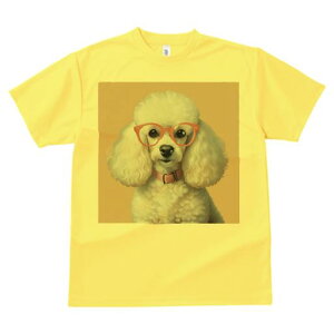 TVc Y LbY t@  t  vg JWA 킢 lԗp tBbglX _X Kl v[h sN̎  t@bV 