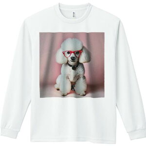 TVc lԗp Y Ht vg W[ AEghA JWA 킢 t@ Kl v[h sN̔wi