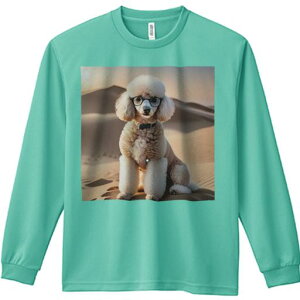 TVc lԗp Y Ht vg W[ AEghA JWA 킢 t@  v[h Kl {E^C