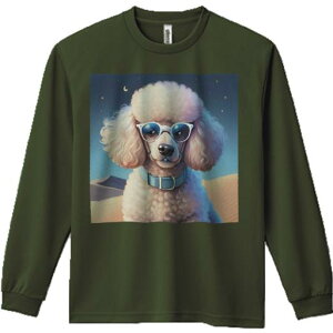 TVc lԗp Y Ht vg W[ AEghA JWA 킢 t@ Kl v[h    