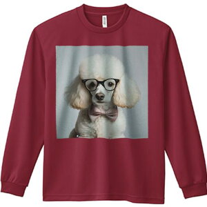 TVc lԗp Y Ht vg W[ AEghA JWA 킢 t@ Kl v[h lN^C