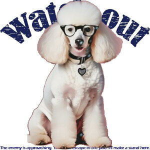 Kl v[h  n[g^O NbVJo[ 45×45cm Aj}   NbV{̕t ` t@