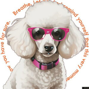 TOX v[h  NbVJo[ 45×45cm Aj}   NbV{̕t ` t@