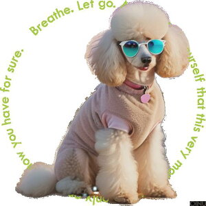 TOX gCv[h     NbVJo[ 45×45cm Aj} NbV{̕t ` t@