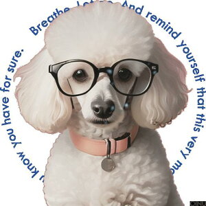 Kl v[h  NbVJo[ 45×45cm Aj}   NbV{̕t ` t@