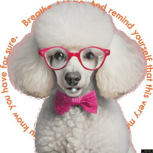 Kl v[h lN^C NbVJo[ 45×45cm Aj}   NbV{̕t ` t@