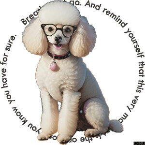 Kl v[h  sN̎ NbVJo[ 45×45cm Aj}   NbV{̕t ` t@