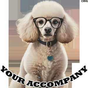 Kl v[h n[g    NbVJo[ 45×45cm Aj} NbV{̕t ` t@