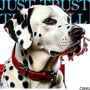 Ԃ _VA  ƍ̔_ NbVJo[ 45×45cm Aj}   NbV{̕t ` t@