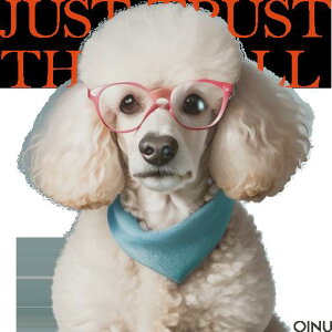 Kl v[h o_i NbVJo[ 45×45cm Aj}   NbV{̕t ` t@