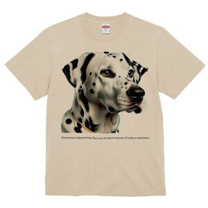 TVc Y LbY t@  t  vg JWA 킢 lԗp tBbglX _X Kl v[h  NbVJo[