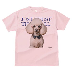 TVc Y LbY t@  t  vg JWA 킢 lԗp tBbglX _X Kl v[h {^C