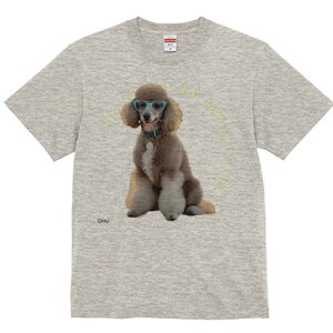 TVc Y LbY t@  t  vg JWA 킢 lԗp tBbglX _X TOX v[h  ^̃lbNX