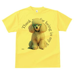 TVc Y LbY t@  t  vg JWA 킢 lԗp tBbglX _X Kl v[h 