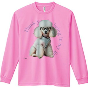 TVc lԗp Y Ht vg W[ AEghA JWA 킢 t@ Kl v[h TVc 