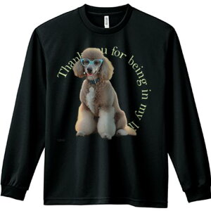 TVc lԗp Y Ht vg W[ AEghA JWA 킢 t@ TOX v[h  ^̃lbNX