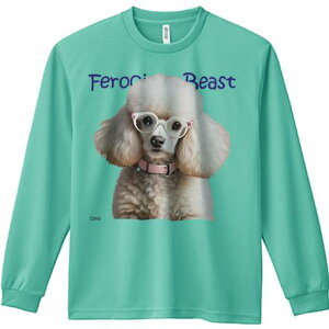 TVc lԗp Y Ht vg W[ AEghA JWA 킢 t@ Kl v[h   sN̎ |bv