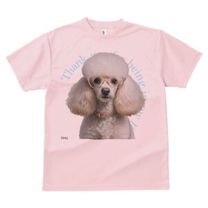 TVc Y LbY t@  t  vg JWA 킢 lԗp tBbglX _X Kl v[h 