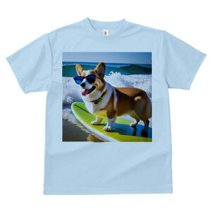 TVc Y LbY t@  t  vg JWA 킢 lԗp tBbglX _X T[tB EFVR[M[yu[N r[` TOX