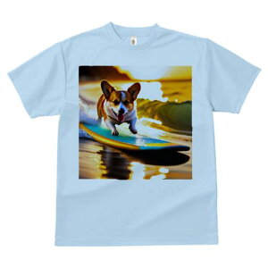 TVc Y LbY t@  t  vg JWA 킢 lԗp tBbglX _X T[tB R[M[ C [