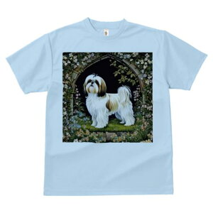 TVc Y LbY t@  t  vg JWA 킢 lԗp tBbglX _X  V[Y[ A[` 뉀 