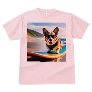 TVc Y LbY t@  t  vg JWA 킢 lԗp tBbglX _X r[` EFVR[M[ T[t{[h TOX