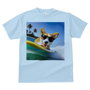 TVc Y LbY t@  t  vg JWA 킢 lԗp tBbglX _X T[t{[h EFVR[M[ TOX g q̖ r[`