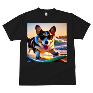 TVc Y LbY t@  t  vg JWA 킢 lԗp tBbglX _X TOX EFVR[M[yu[N T[t{[h C g T[tB