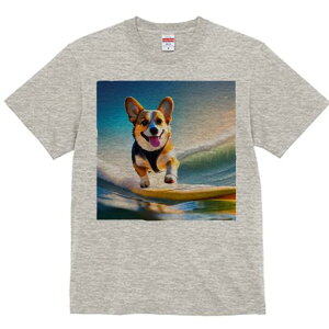 TVc Y LbY t@  t  vg JWA 킢 lԗp tBbglX _X T[tB EFVR[M[yu[N g C X|[c