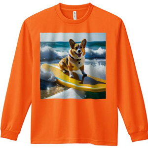 TVc lԗp Y Ht vg W[ AEghA JWA 킢 t@ T[tB EFVR[M[ C g T[t{[h r[`