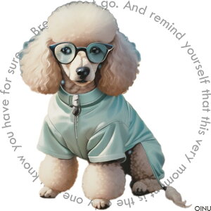 Kl v[h XEFbgVc NbVJo[ 45×45cm Aj}   NbV{̕t ` t@