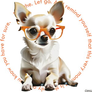 Kl ` bNX IV NbVJo[ 45×45cm Aj}   NbV{̕t ` t@