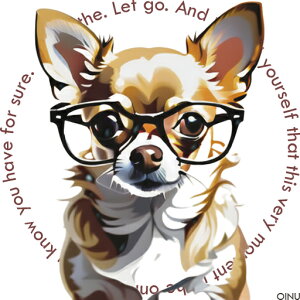 Kl ` eLXg NbVJo[ 45×45cm Aj}   NbV{̕t ` t@