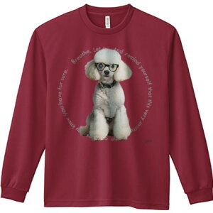 TVc lԗp Y Ht vg W[ AEghA JWA 킢 t@ Kl v[h  