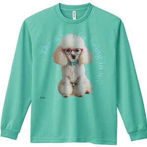 TVc lԗp Y Ht vg W[ AEghA JWA 킢 t@ Kl v[h J[ 