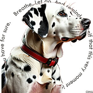 Ԃ _VA _   NbVJo[ 45×45cm Aj}   NbV{̕t ` t@