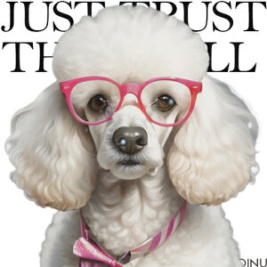 ዾ v[h { NbVJo[ 45×45cm Aj}   NbV{̕t ` t@